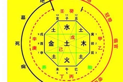 命主八字|生辰八字算命、五行喜用神查询（免费测算）